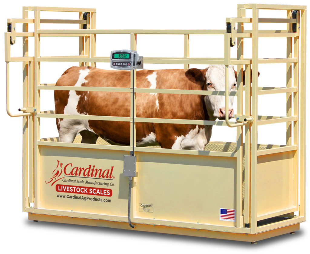 SLS Single Animal Livestock Scale Precision Scale & Controls